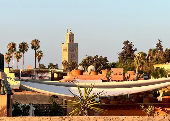 Riad Belharra
